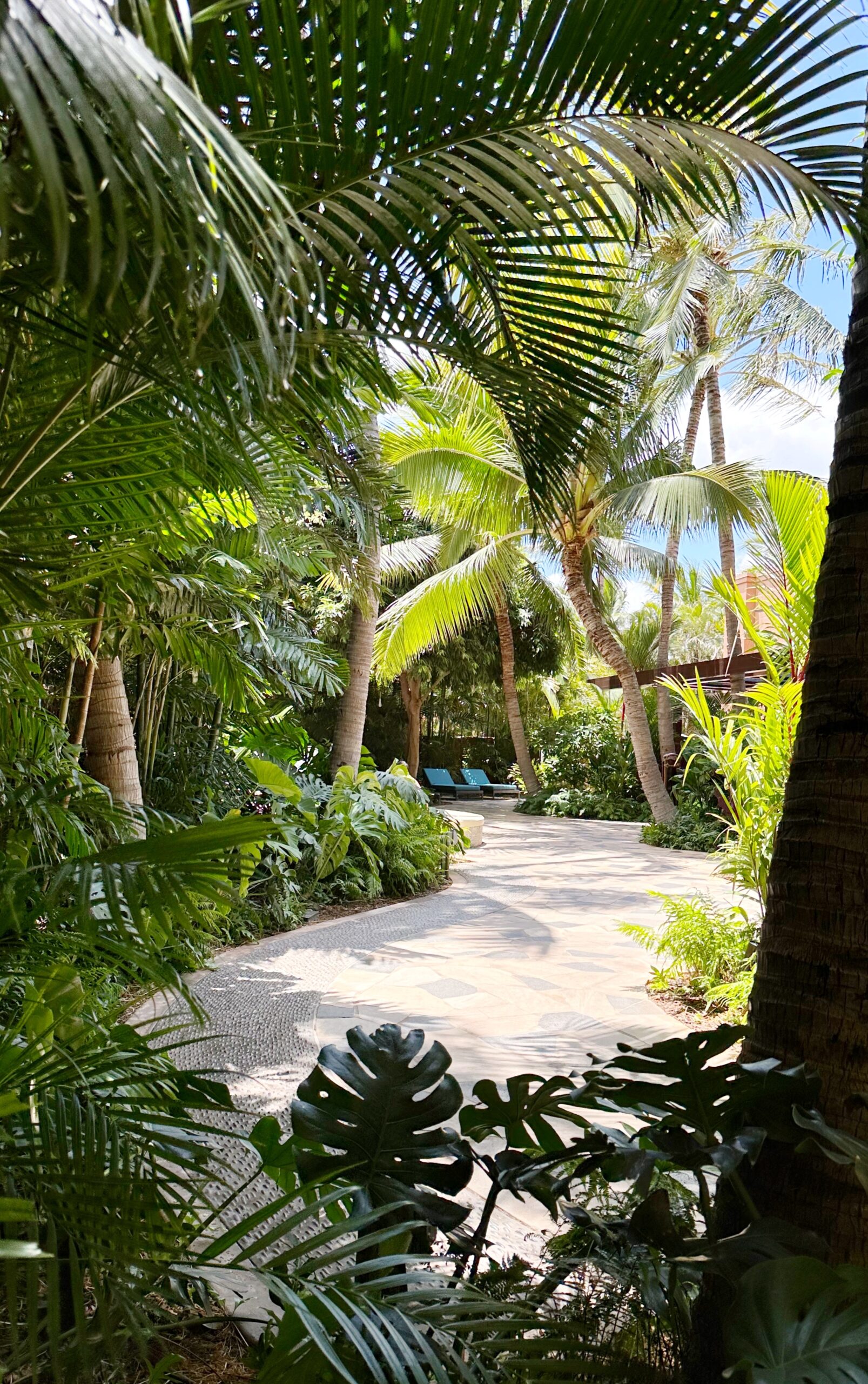 jungle